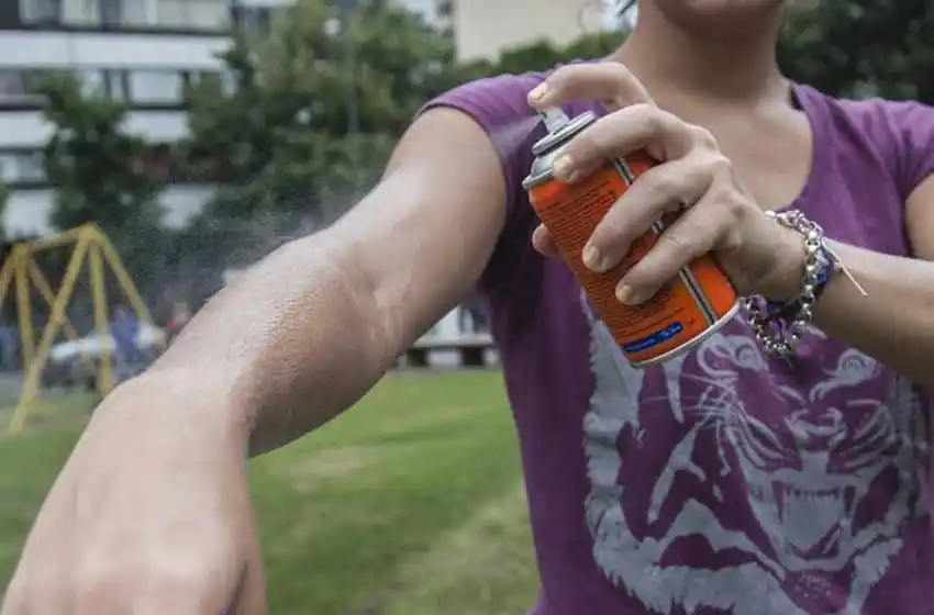 Recomiendan profundizar medidas para evitar enfermedades transmitidas por el Aedes aegypti