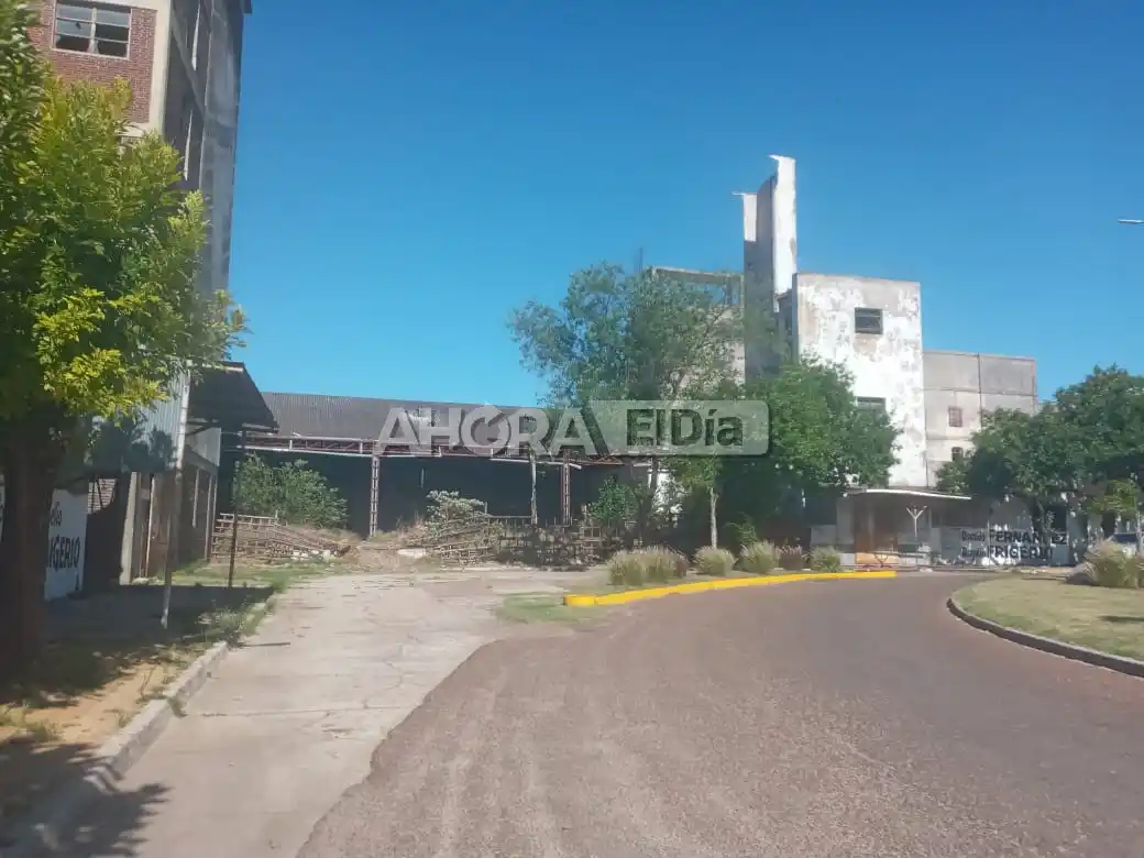 Último parte médico: cómo está el adolescente que cayó al vacío en el viejo edificio del Molino Ross