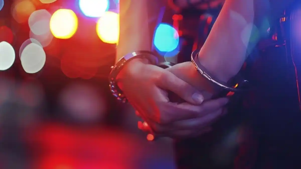 GRABÓ Y VENDIÓ VIDEO: fue detenida tras abusar sexualmente de su perro