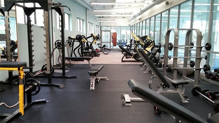El Gobierno de Santa Fe otorga una ayuda de 30 mil pesos a gimnasios y otros comercios
