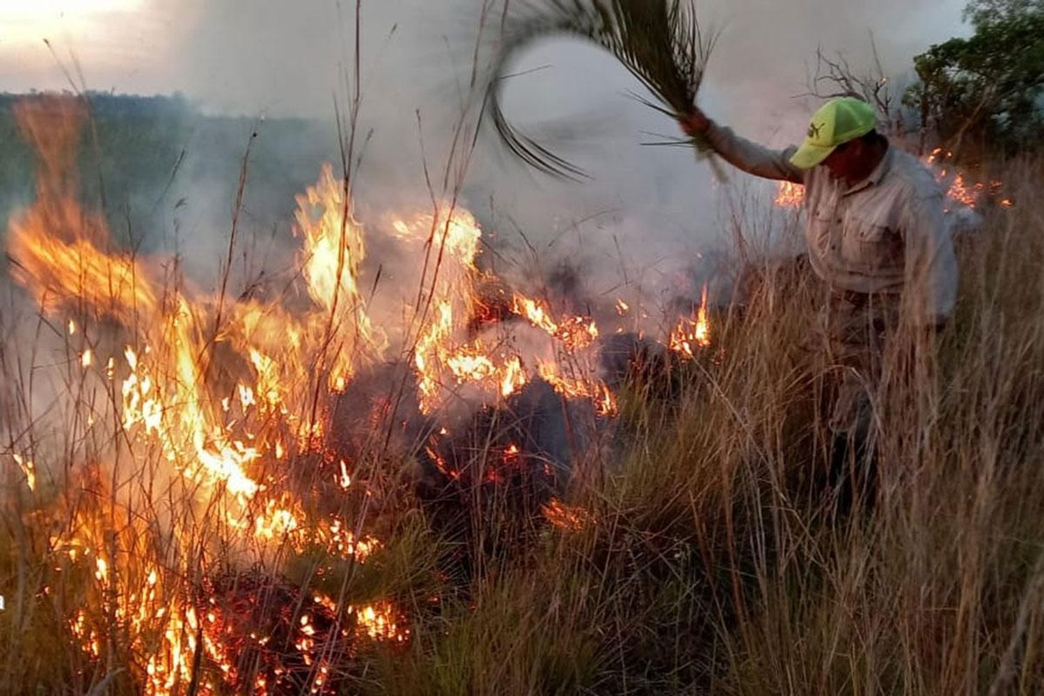 Todos por Corrientes: quiénes reciben donaciones en San Pedro
