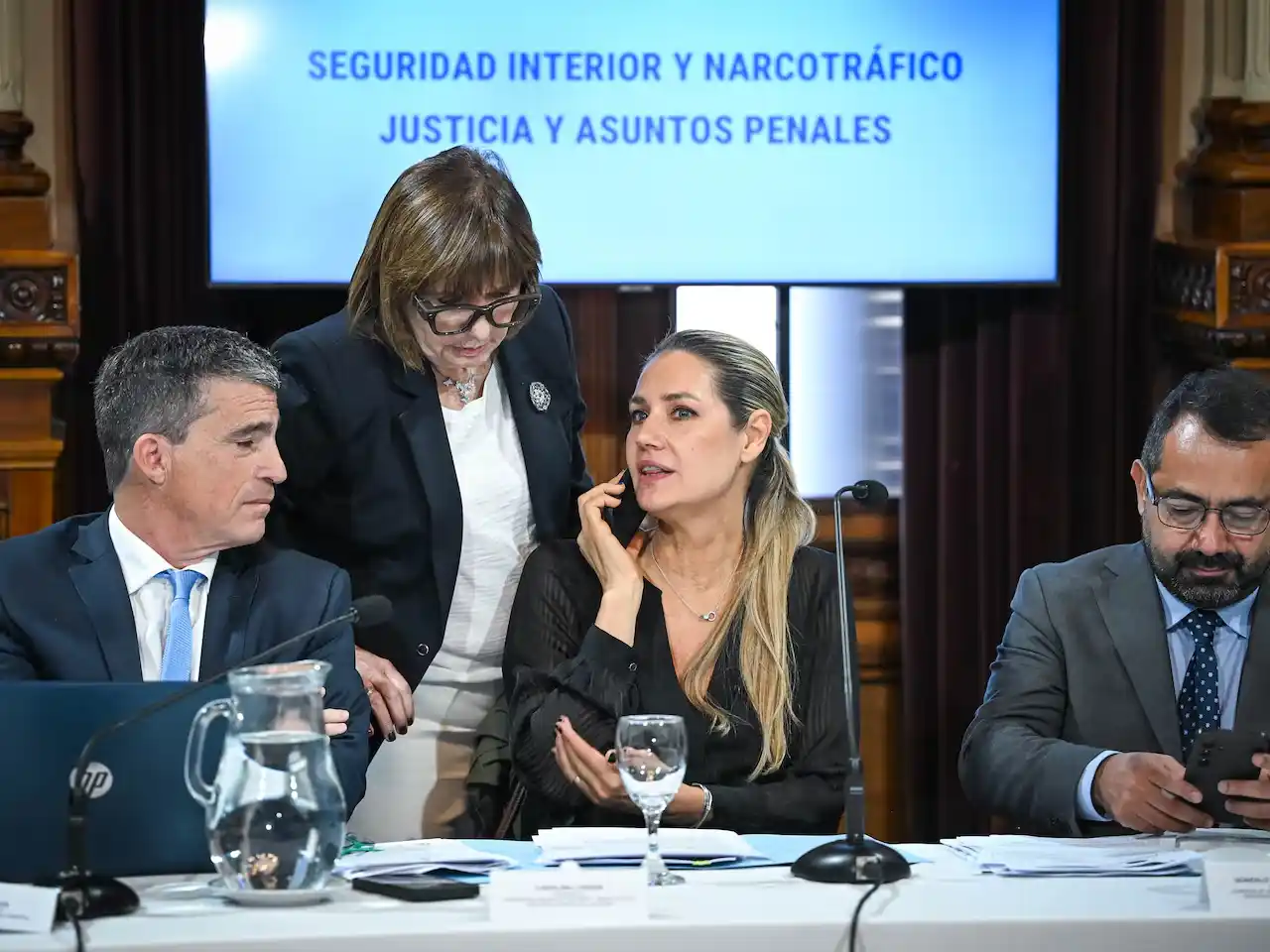 Armas de fuego: el Senado avanzó con la regularización y la prórroga del plan de entrega voluntaria