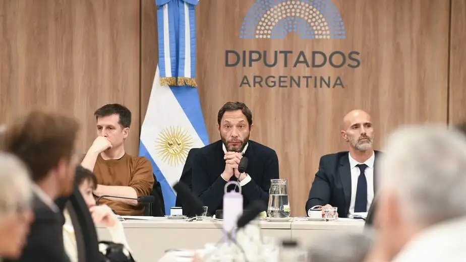 La comisión investigadora $LIBRA aprobó un reglamento y las primeras medidas de prueba