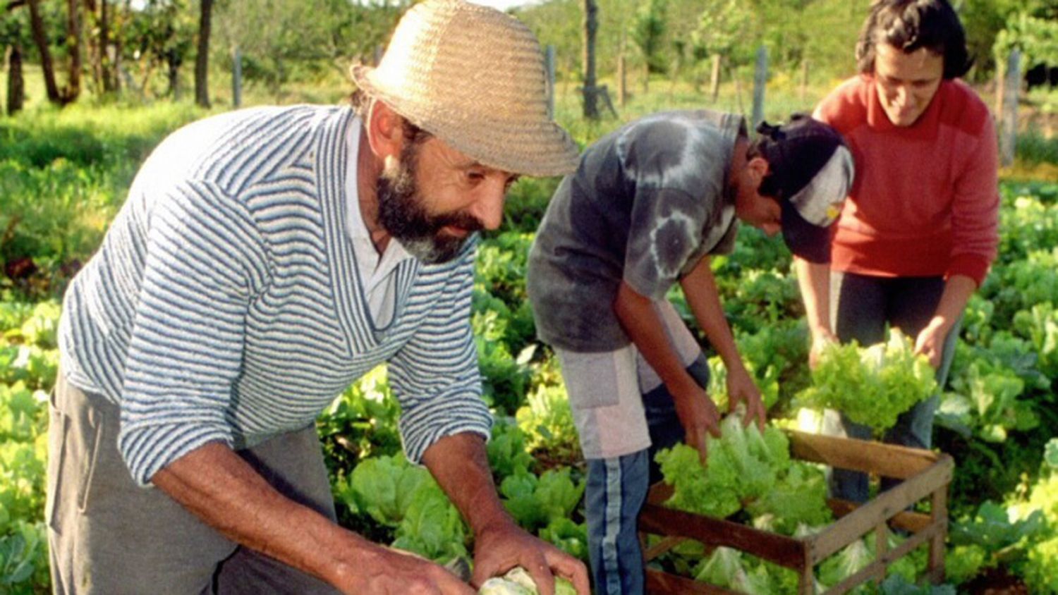 Veinte despidos: El área de Agricultura Familiar quedó reducida a la mitad