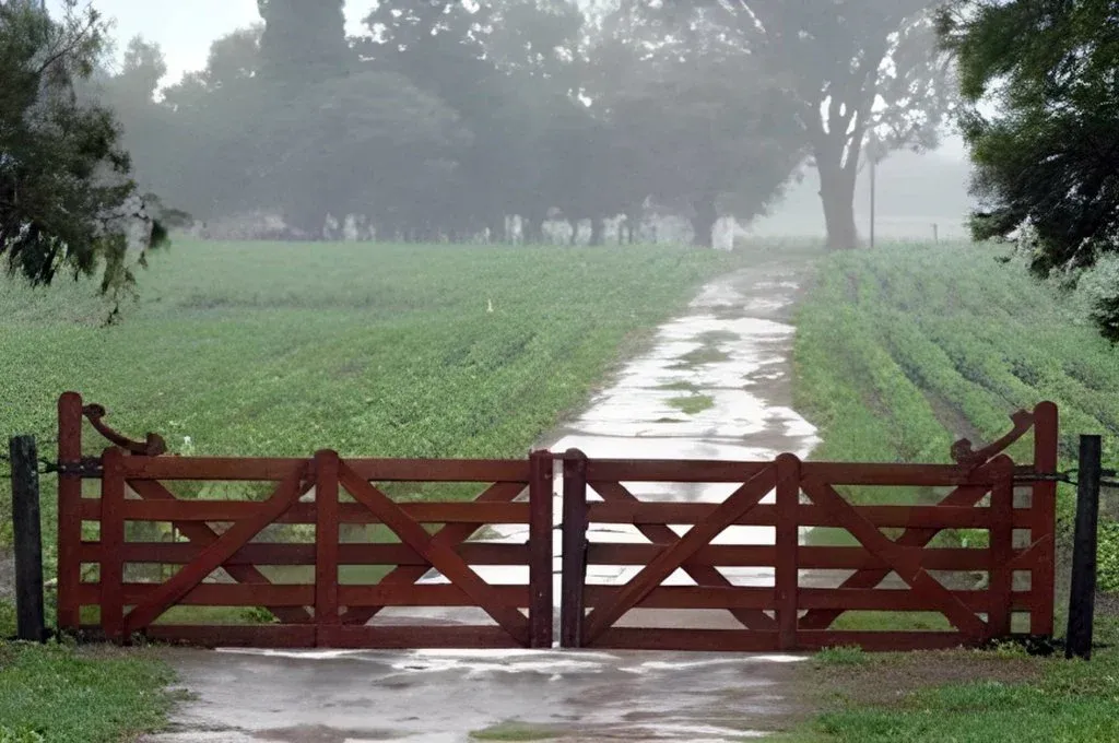 Las lluvias superaron las expectativas en el sur. En el centro-norte se agrava la sequía. Foto: José Antonio Álvarez
