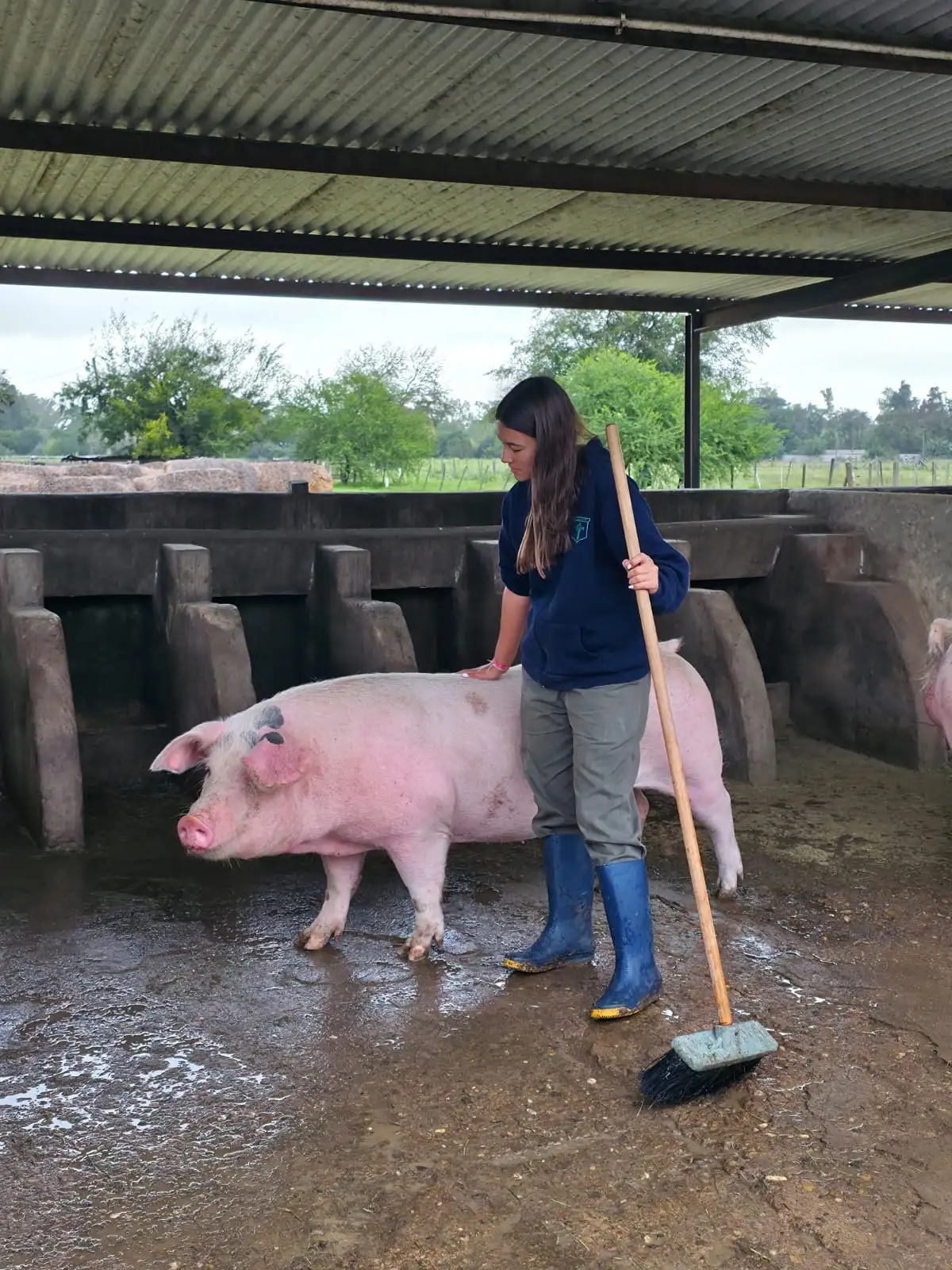 Una alumna del Instituto Fahy en Moreno realiza tareas de cuidado animal en el sector porcino: aprender trabajando, el sello de la educación agraria.