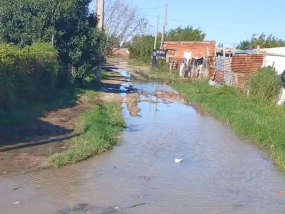Cevasco: “Es un estado total de abandono lo que hay en las calles fuera de las avenidas”