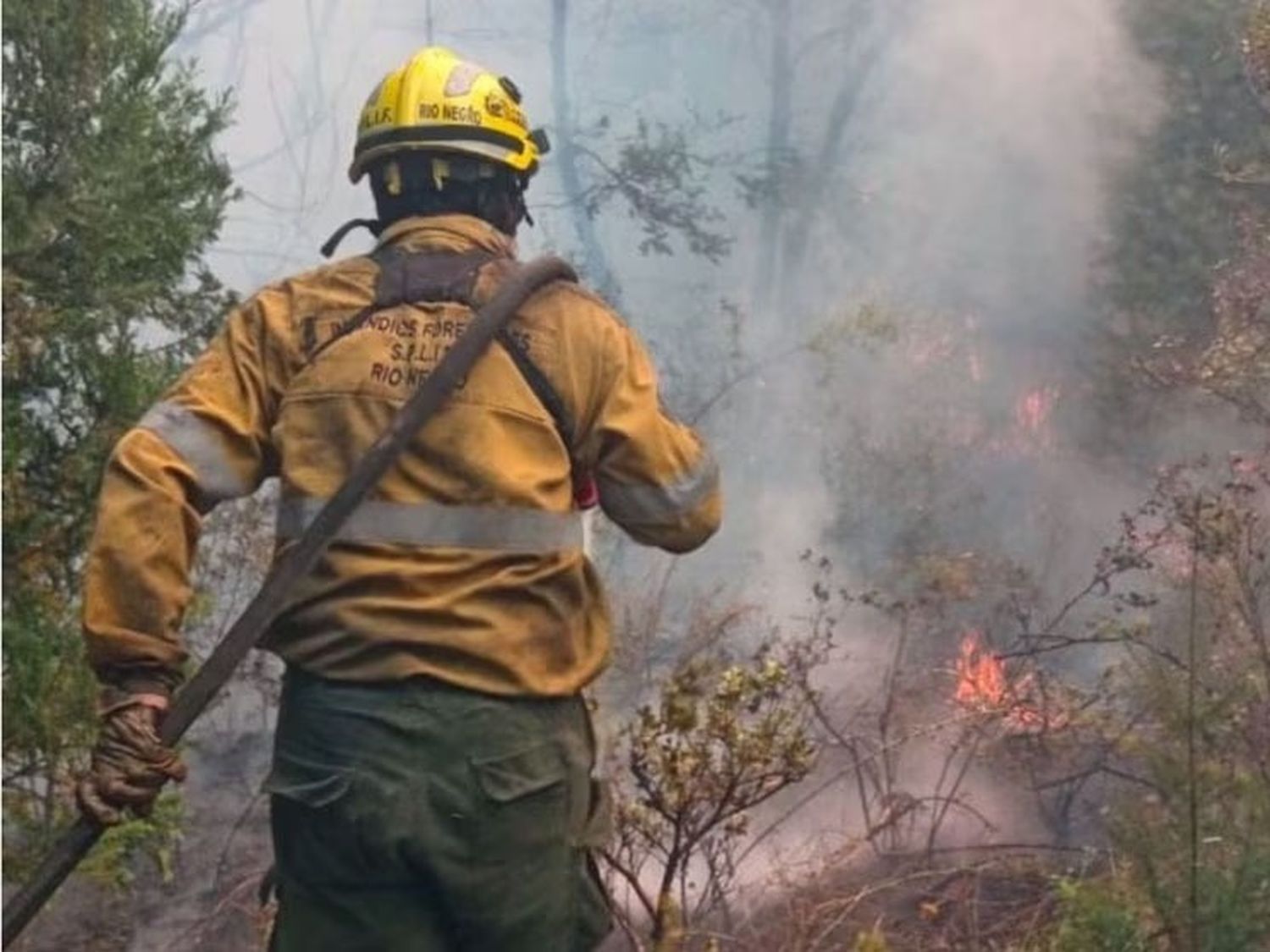 Identificaron a los autores del incendio en El Bolsón: hay más de 100 casas destruidas