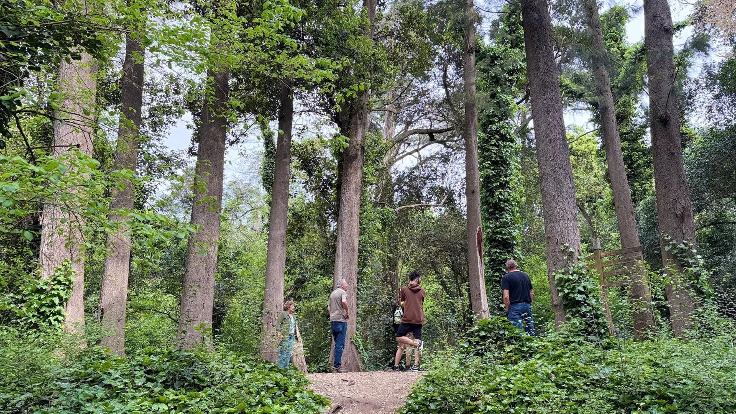 El Bosque Encantado, un hermoso entorno natural para recorrer