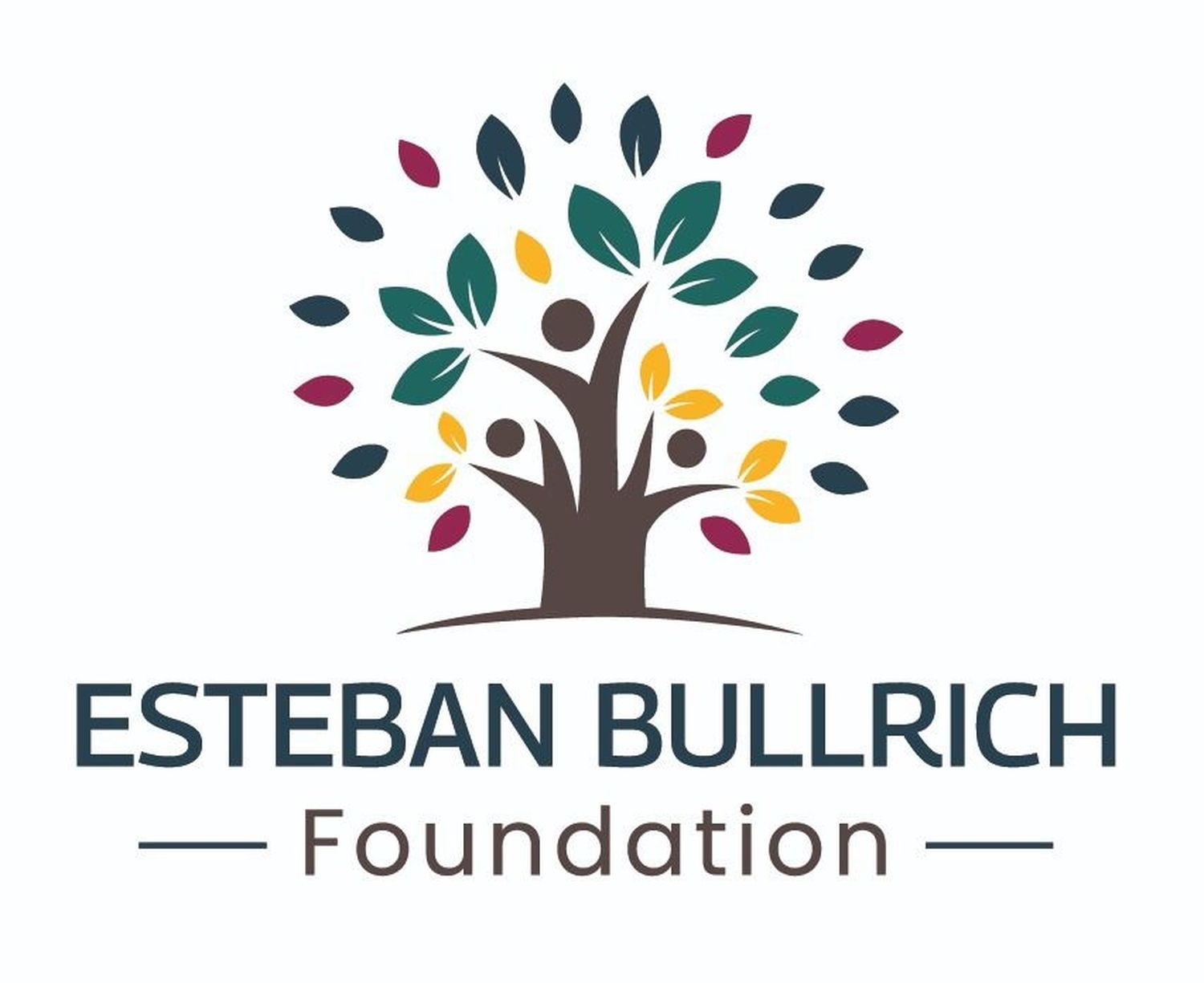 Esteban Bullrich lanzó su fundación para ayudar a los enfermos de Esclerosis Lateral Amiotrófica
