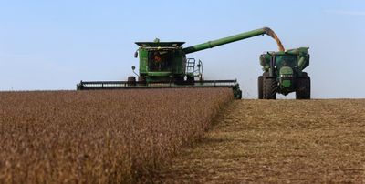 Proyecciones para la campaña agrícola 2025/26