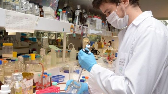 Falta de insumos médicos: "Es una prioridad que está en vías de solución"