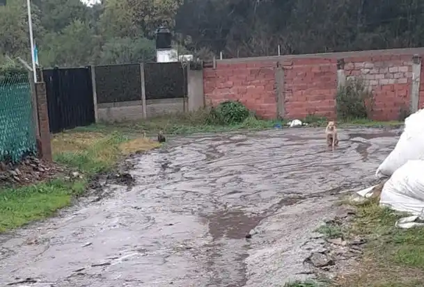 El estado de las calles es otro de los problemas prioritarios del barrio.