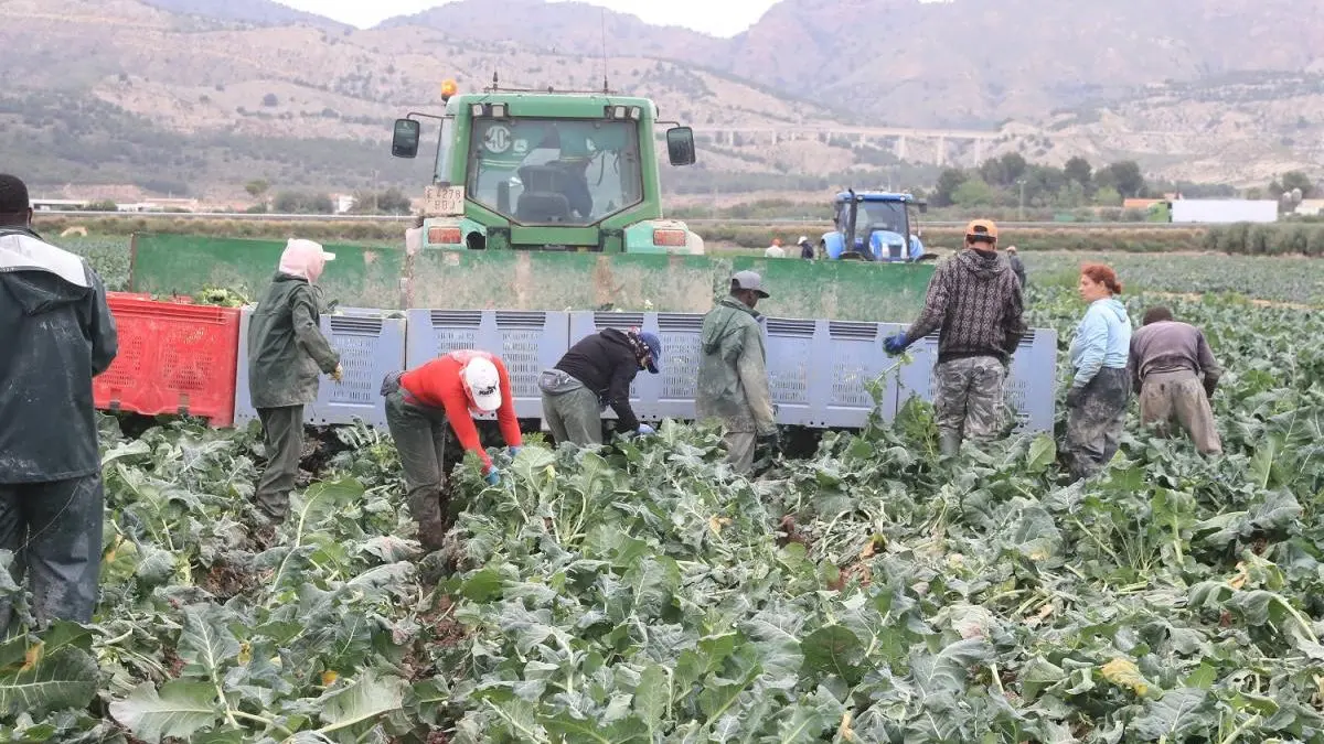 Por explotar a suramericanos piden cárcel y cierre de empresa española Terra Fecundis