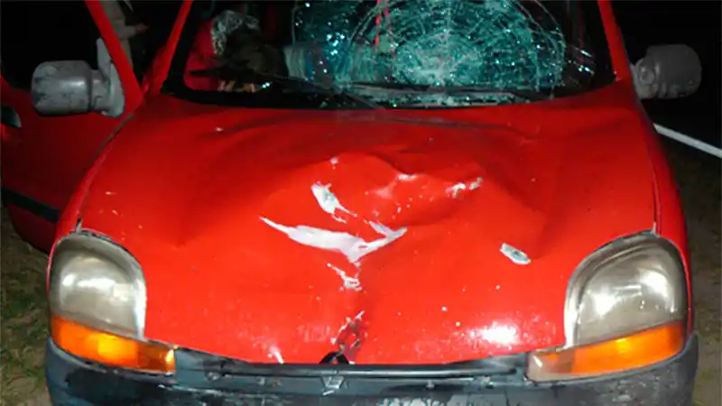 Ruta 12: Hombre fue chocado por una camioneta y murió 