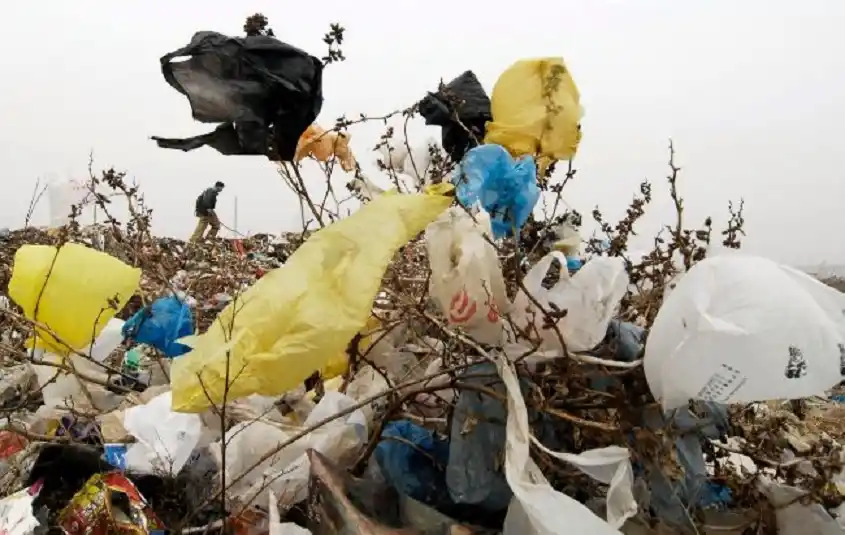 La era dorada del plástico