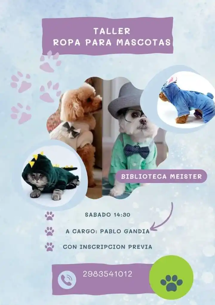 Confección de indumentaria para mascotas en la Meister