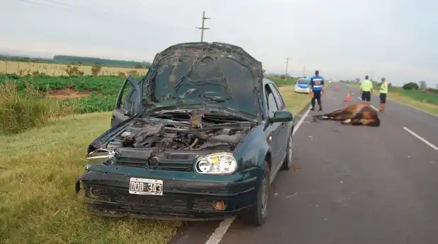 Accidentes causados  por novillo y caballo   