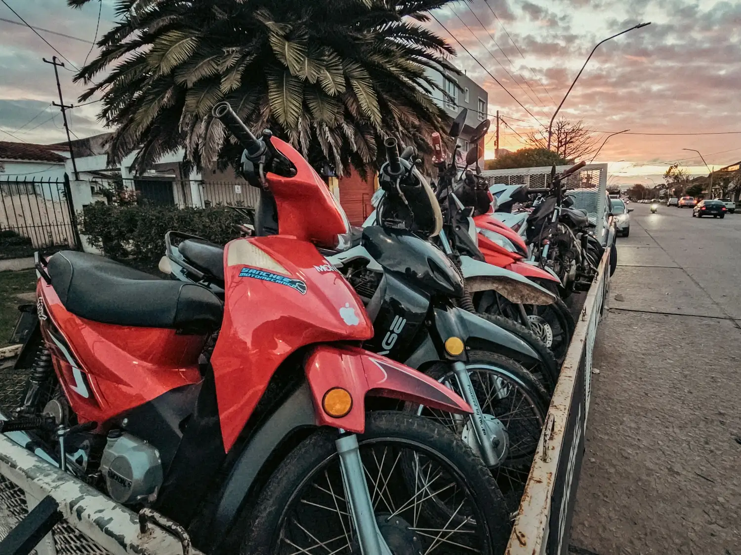También detectaron cinco licencias presuntamente apócrifas, que fueron remitidas al Juzgado de Faltas.