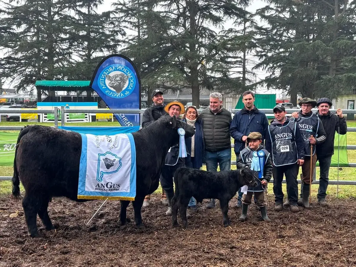 Nirihuau se llevó las mejores banderas en la jura Angus de Junín