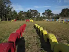 Llega Track Race Tandil, una competencia novedosa