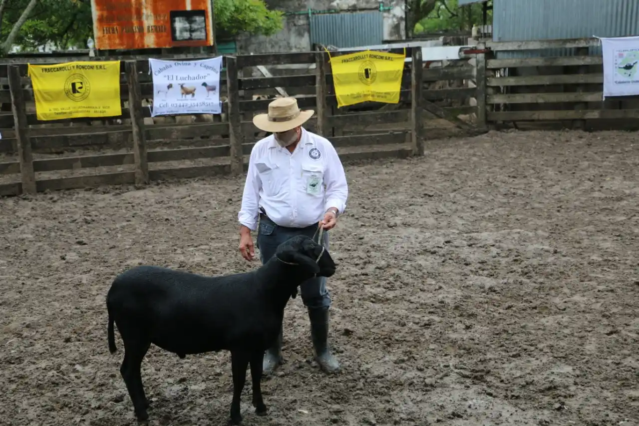 Sergio Taffarel: "Los números de los ejemplares de Santa Inés son muy buenos"
