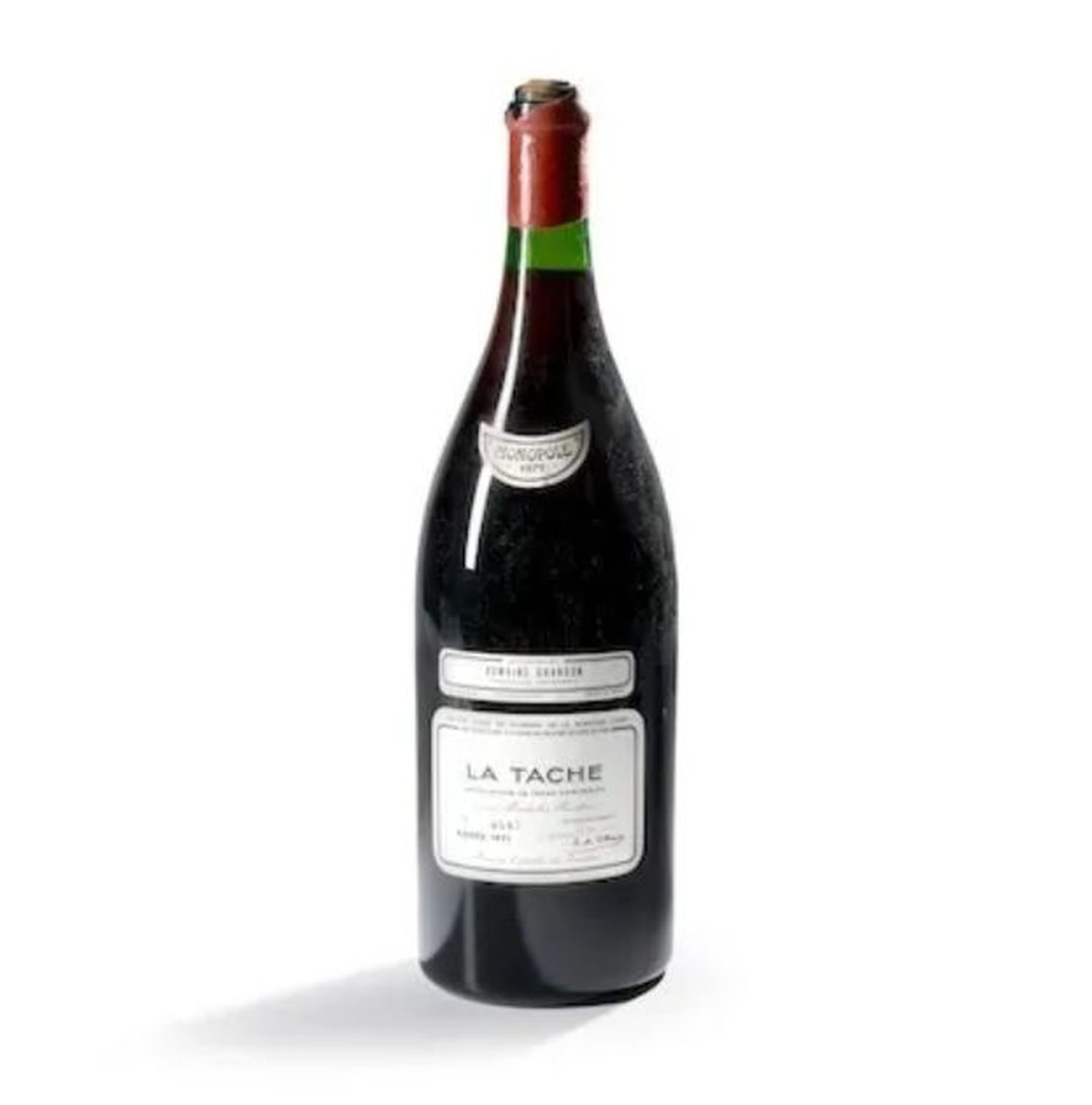 vino - 3