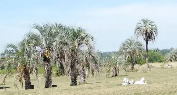 La Angélica es turismo rural con conciencia ambiental