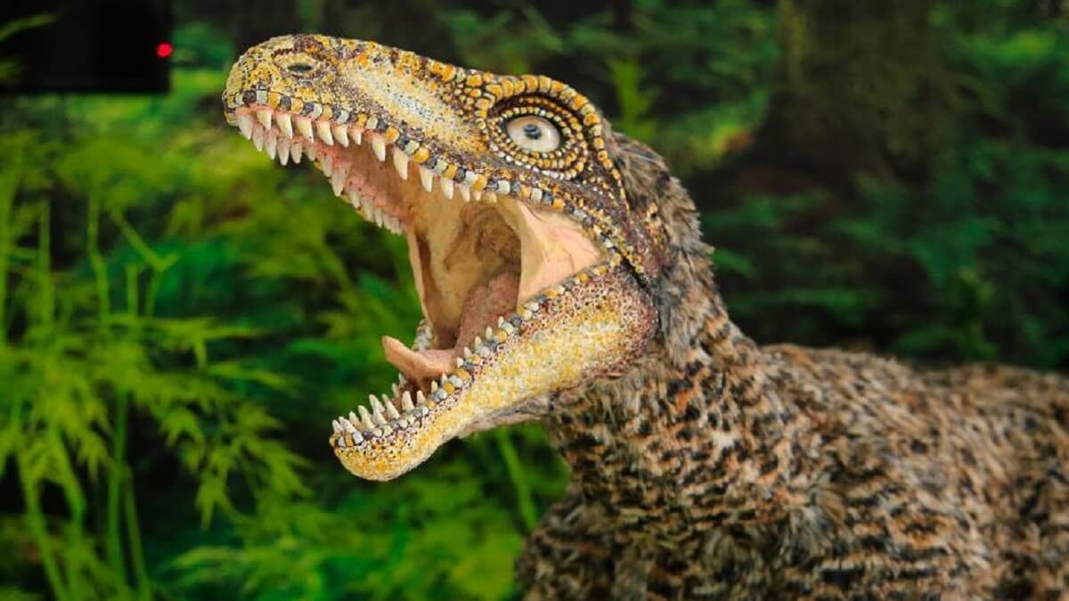 CONOCE AL «TACHIRAPTOR»: no es un malandro, es un dinosaurio que habitó en los Andes venezolanos