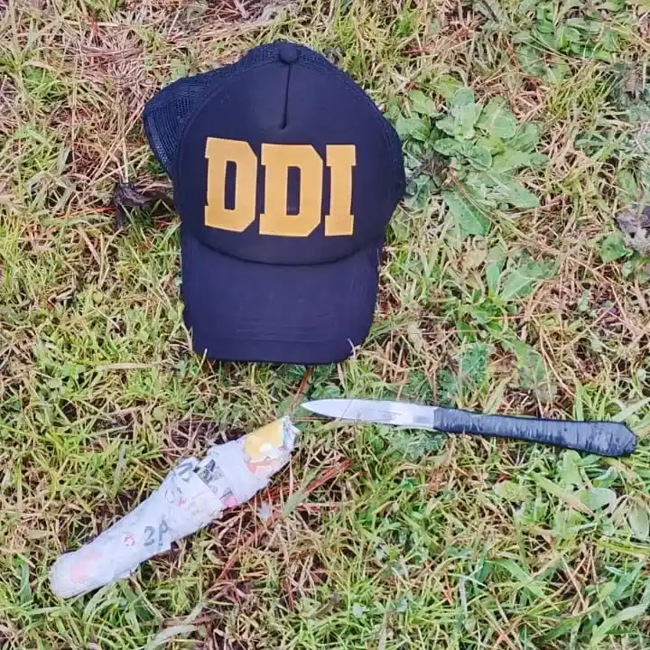 DDI