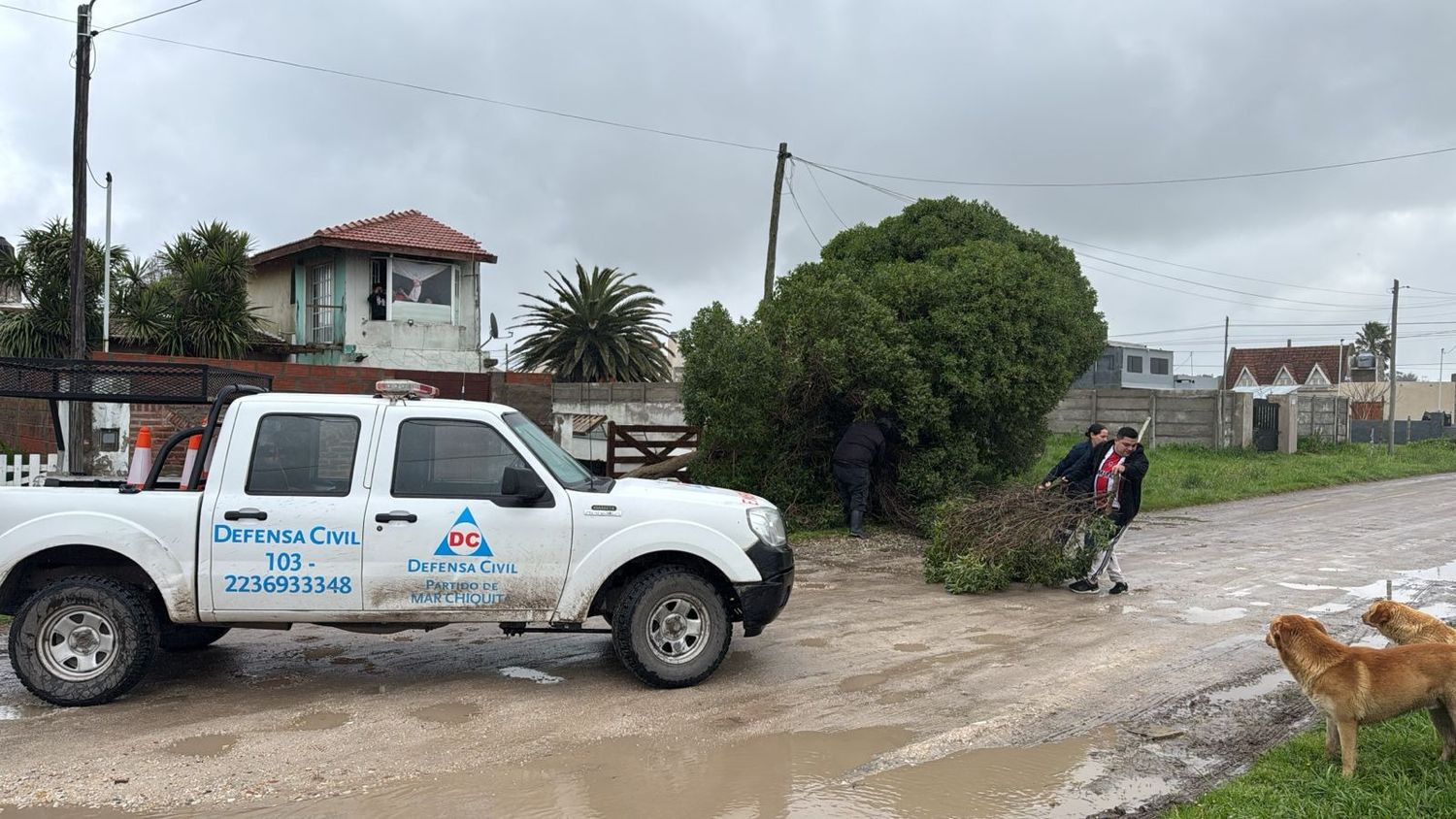 Aseguraron que se encuentran trabajando "a toda hora" para resolver los problemas generados por la lluvia y el viento”.