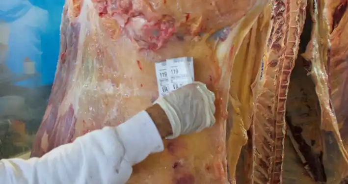 Frigoríficos exportadores pidieron un “dólar carne” para evitar una debacle en 2023