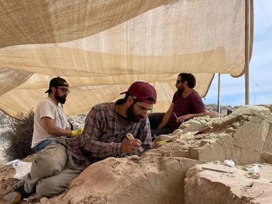 Los rastros del pasado: de los dinosaurios patagónicos a los gigantes del Gualeguaychú prehistórico