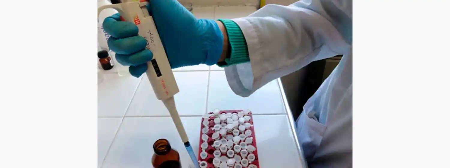 Se confirmaron 2 nuevos muertos y 45 casos de coronavirus en Mar del Plata