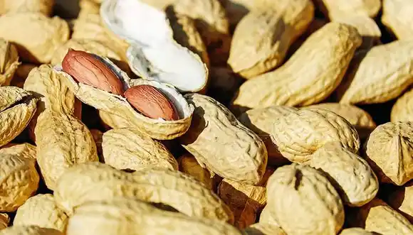 También récord: el maní argentino se exportó a más  de 100 destinos en 2019