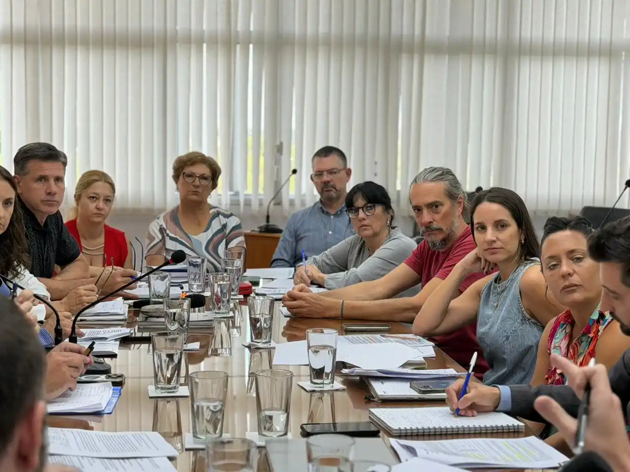 El Concejo Municipal analizó el proyecto para crear el Régimen Rafaelino de Incentivos a Grandes Inversiones - 3