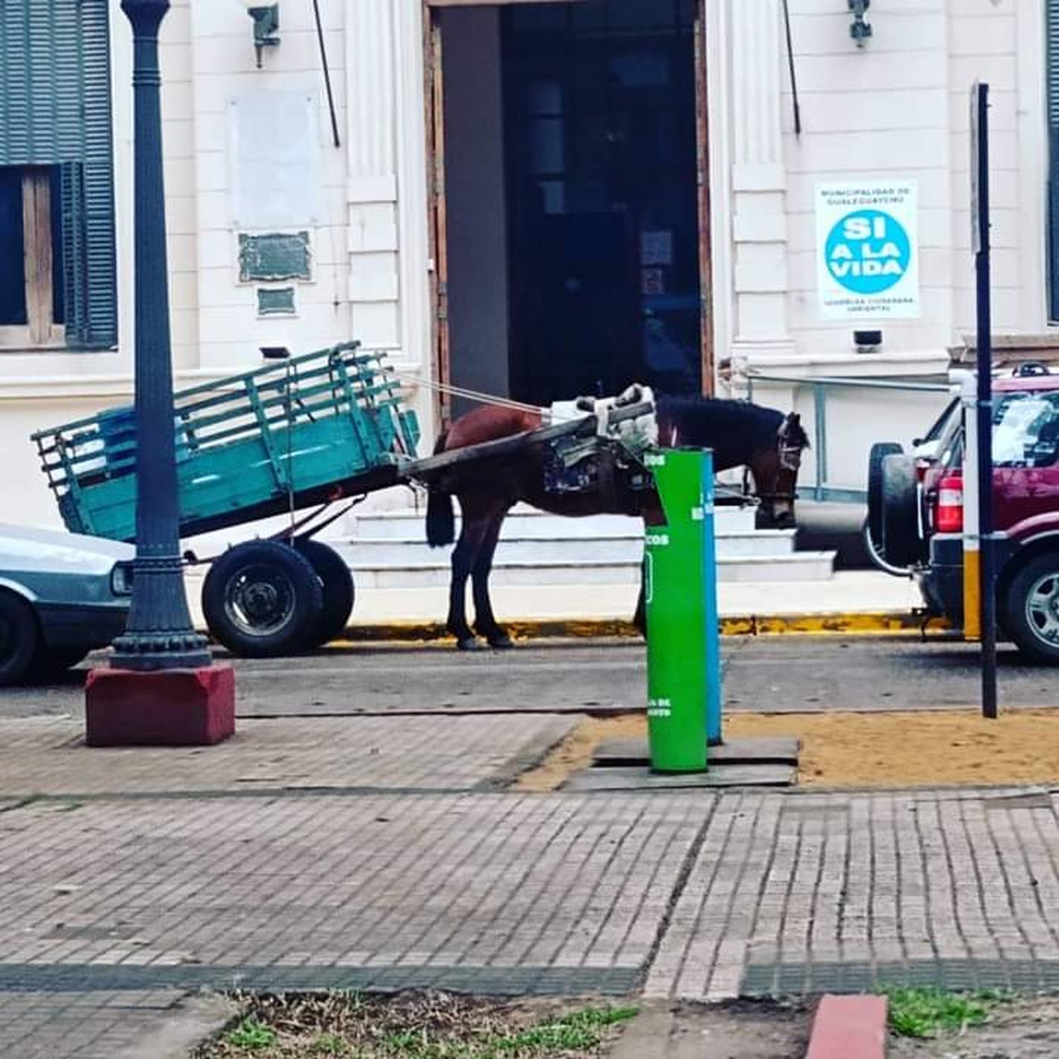 Caballos maltratrados y sin control en Gualeguaychú: un problema que reclama la intervención del Estado