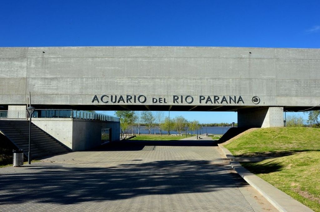 El Acuario del Río Paraná convoca al concurso fotográfico: “Retratos del Humedal”