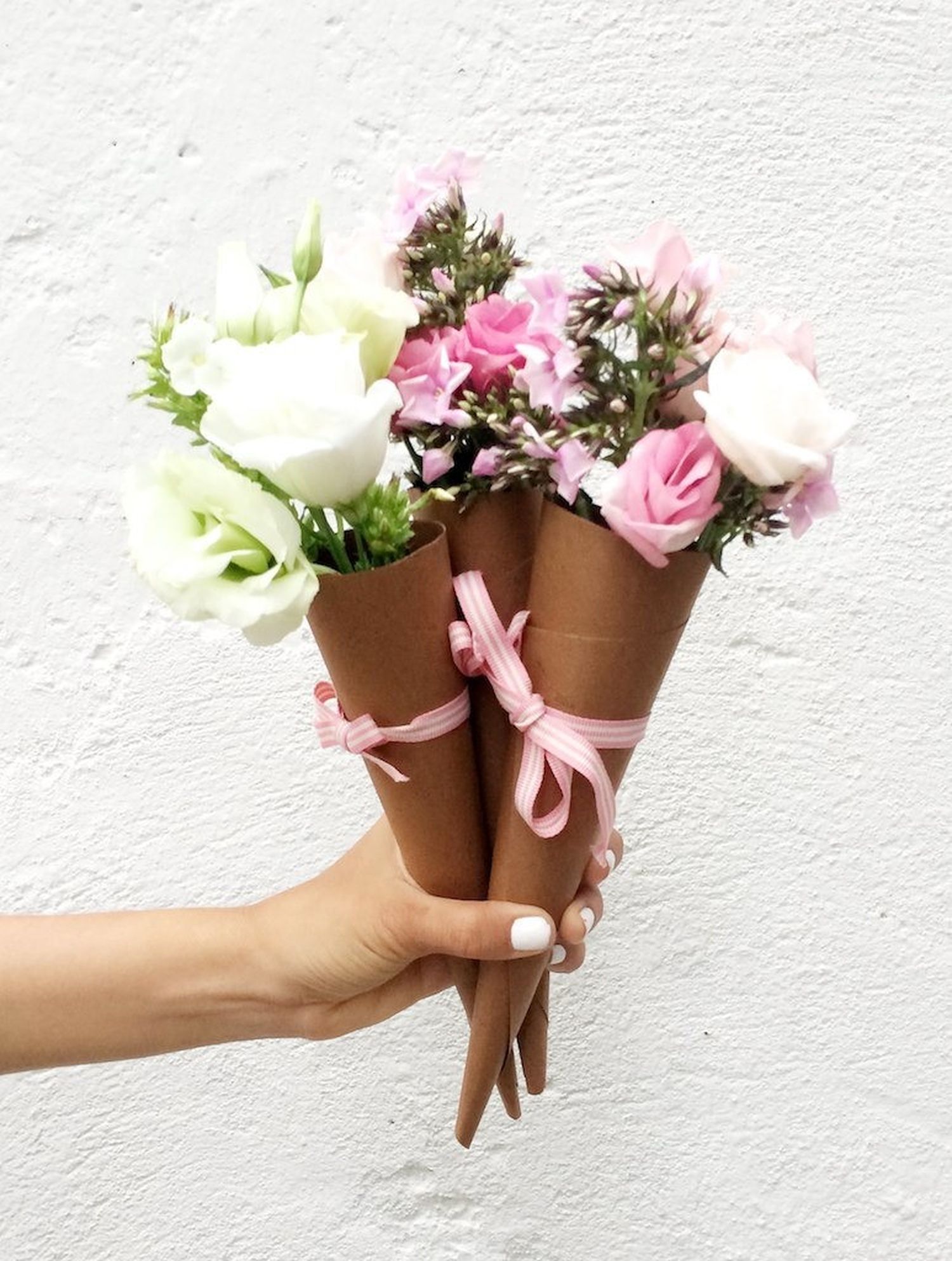 Vergüenzas en flor