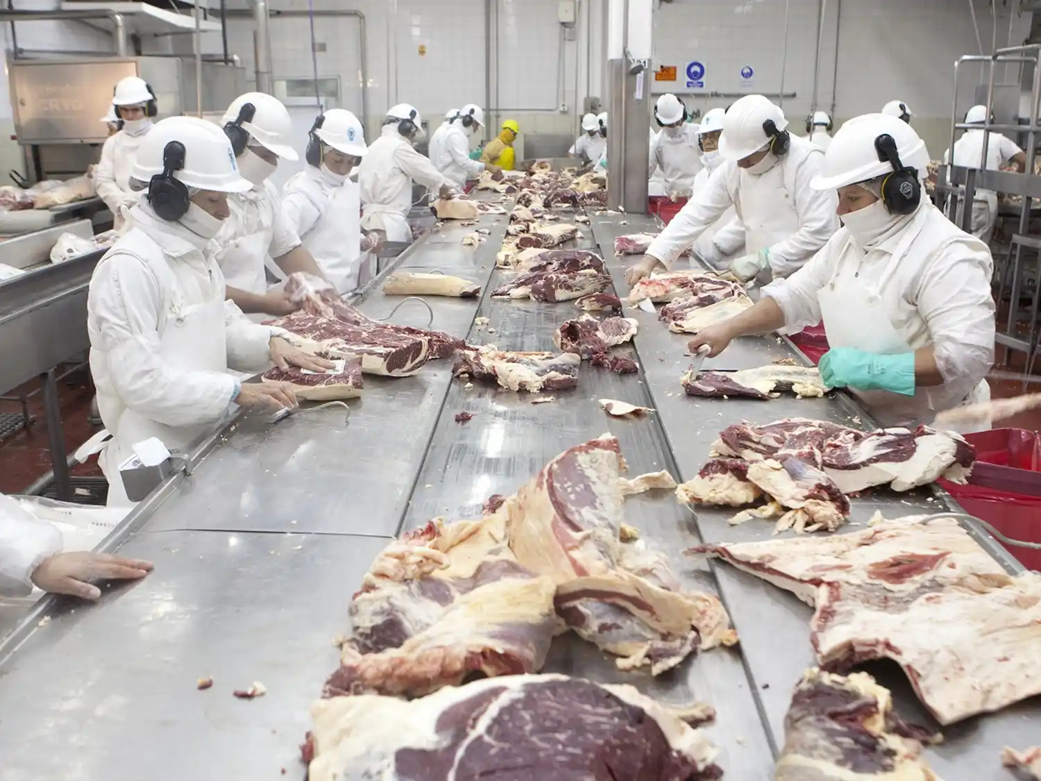 Nada nuevo: se eliminaron las retenciones a la exportación de la carne de vaca, cerdo y lácteos