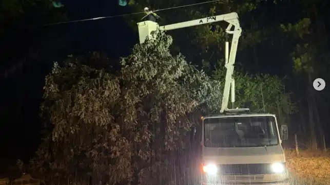 Varias zonas de Gualeguaychú sin luz tras las lluvias: los motivos