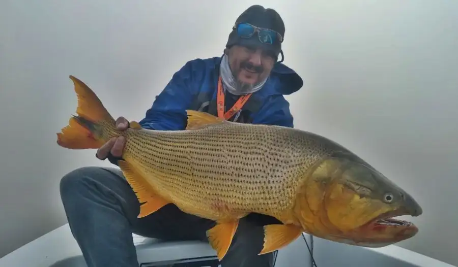 Buena pesca para el fin de semana en el Rio Gualeguay