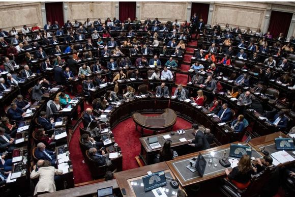 El socialismo presentará dictamen propio en el Plenario de Comisiones de la Cámara de Diputados