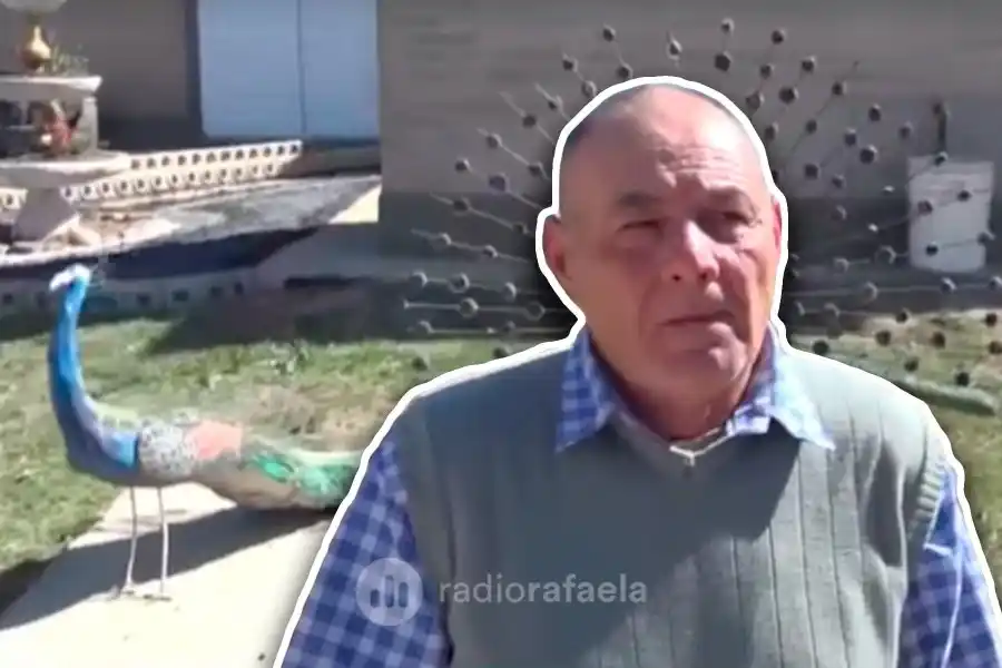 Rodolfo, el artista que da vida a la fauna a través del cemento: "Vi que me iban saliendo y fui haciendo"