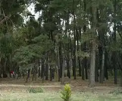 Convocatoria de Sitio Específico