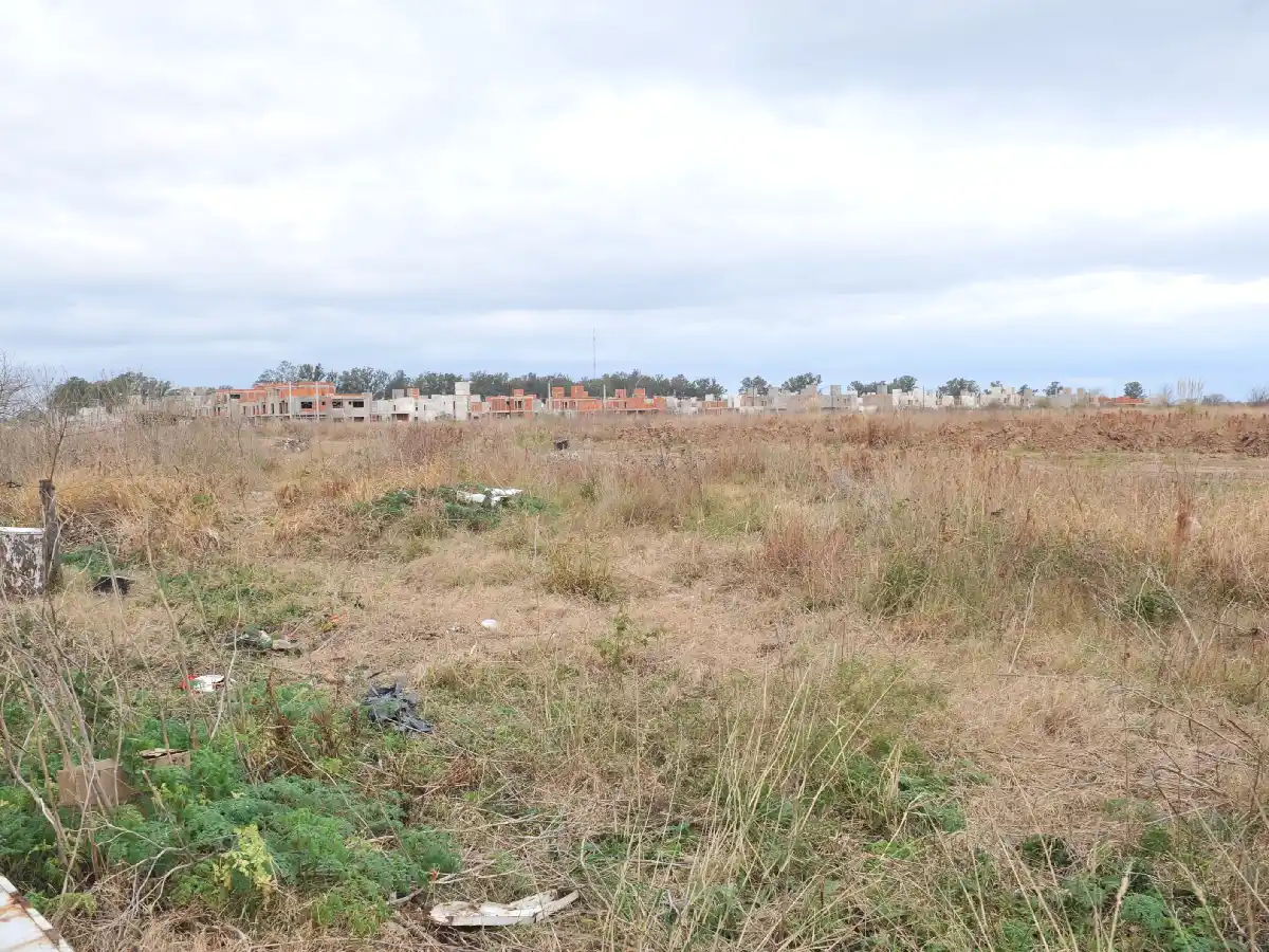 En 20 días inician obras de infraestructura para loteo "LoTengo"