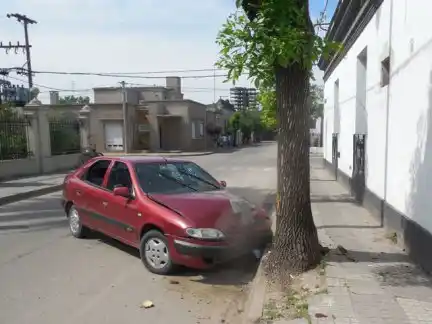 Alcoholizado, huyó del control policial e impactó contra un árbol