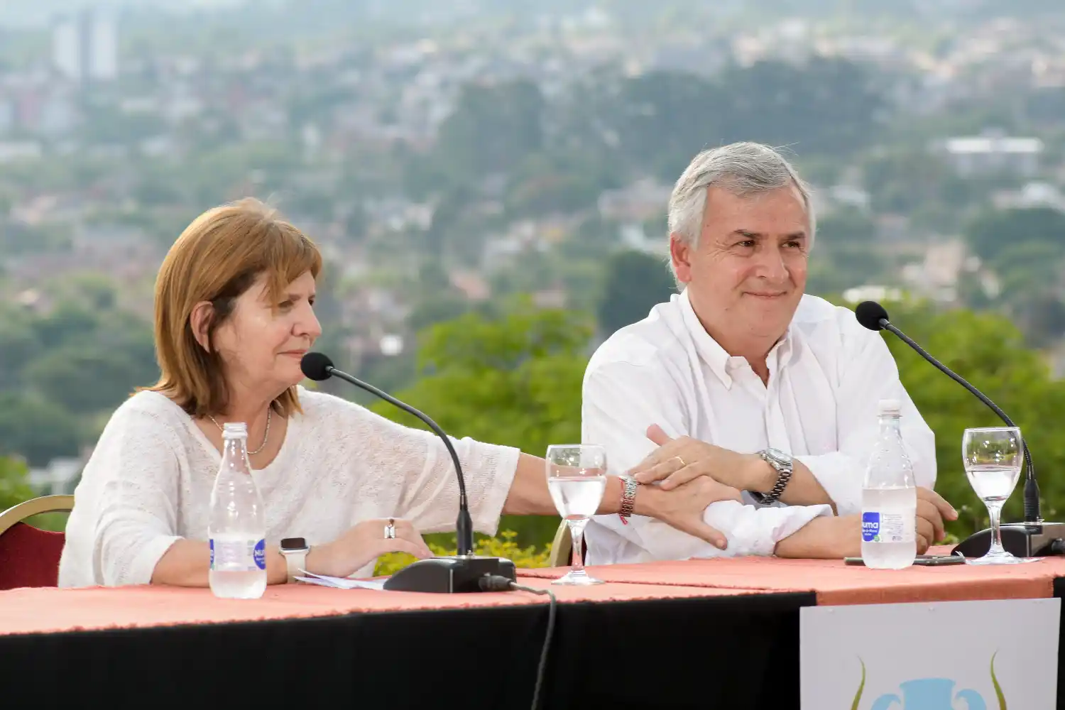 Patricia Bullrich considera a Gerardo Morales "como uno de los presidenciables de Juntos por el Cambio"