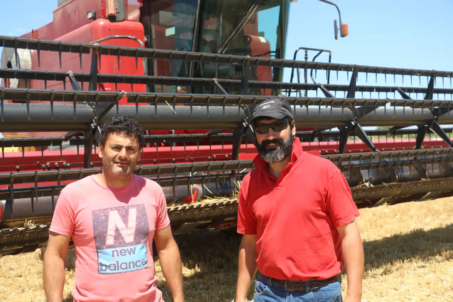 Buenos rindes en los primeros lotes de trigo en el departamento Gualeguaychú