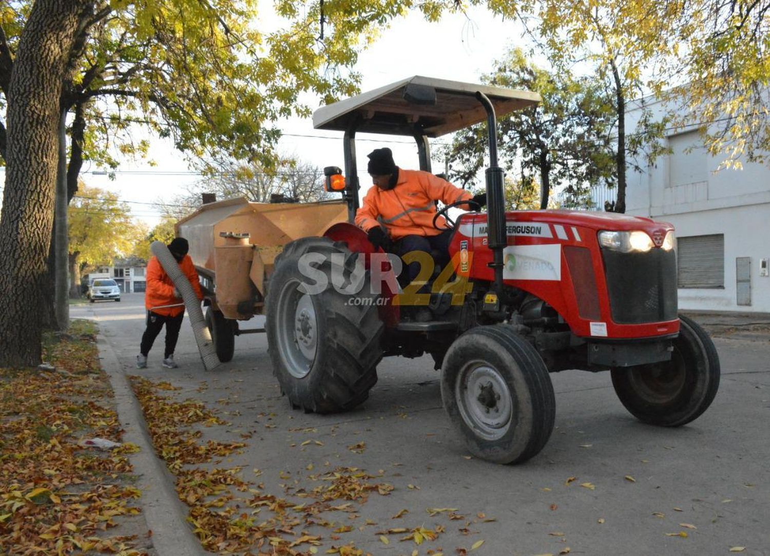 Municipio intensifica las tareas de desmalezado y limpieza en plazas y paseos públicos